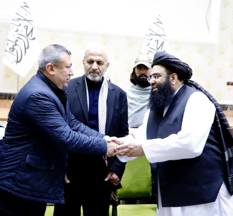 image_870x_69bbf4f7a40f8