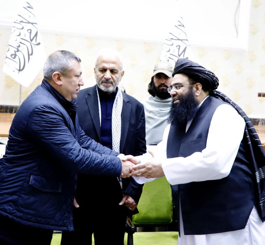 image_870x_69bbf4f7a40f8