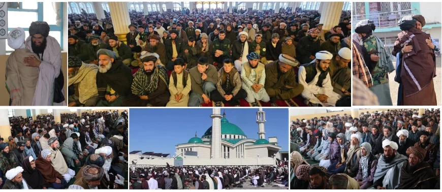 image_870x_69bc2a3525e26