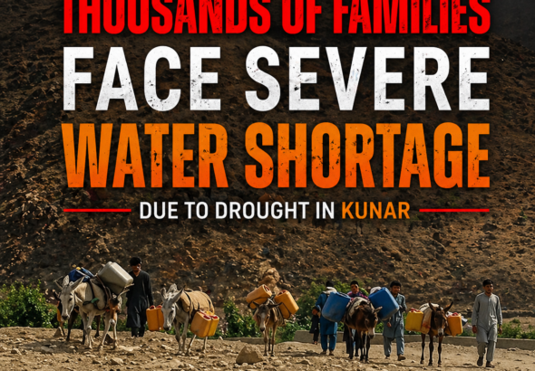 08db27bc-12eb-463f-a1f8-f88d0e34251e-2