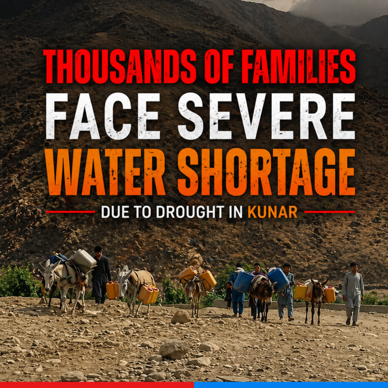 08db27bc-12eb-463f-a1f8-f88d0e34251e-2