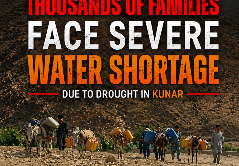 08db27bc-12eb-463f-a1f8-f88d0e34251e-2