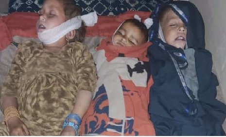 ننګرهار ورښتونه تلفات