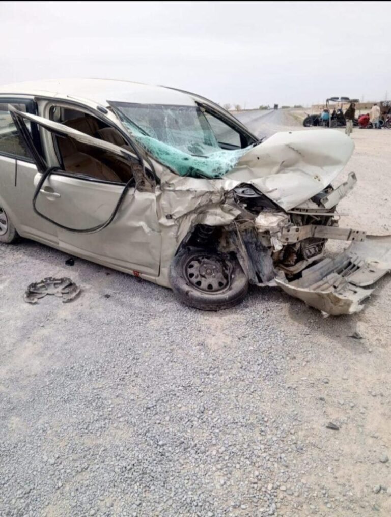 Ghazni-774x1024