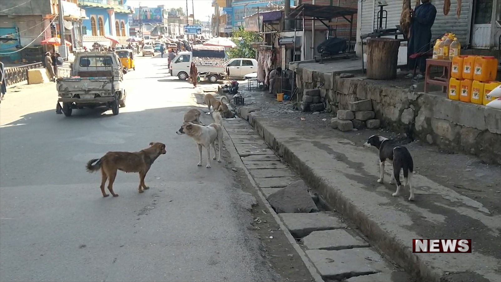 دیدار با والی بخارا در ازبیکستان.05_46_47_19.Still003