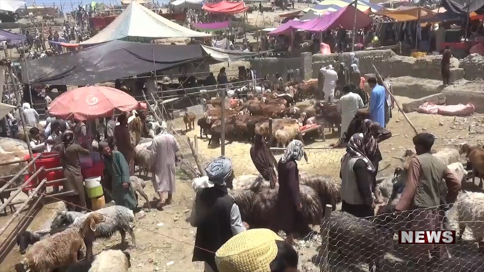 دیدار با والی بخارا در ازبیکستان.07_13_42_16.Still012
