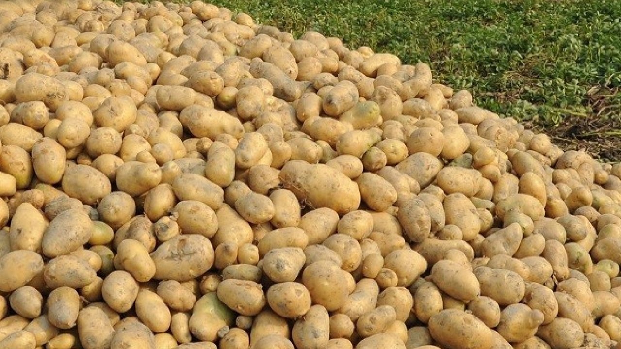 ذذذذذذذذذذذذذذذذ