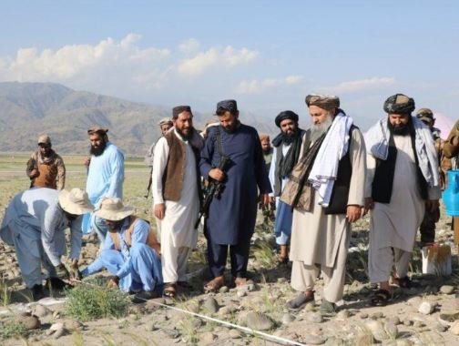 ننګرهارکې ښارګوټی
