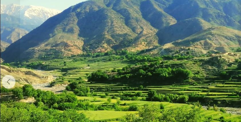 ولسوالي پچير اګام