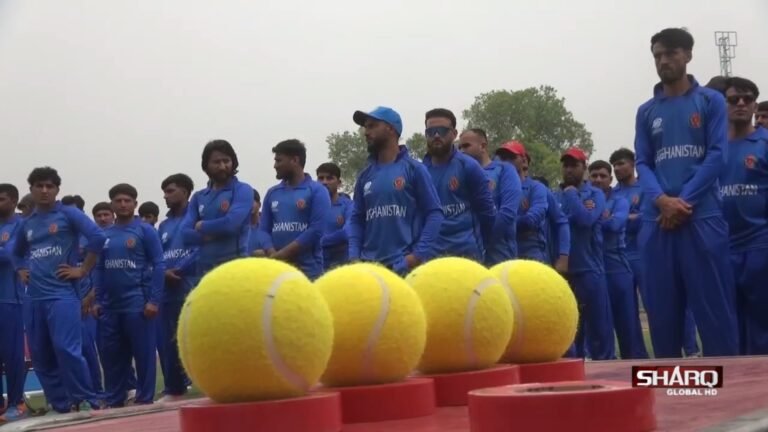 کرکټ