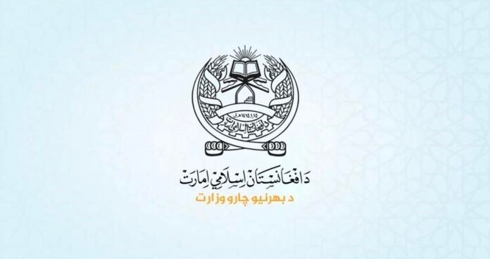 فففففففففف