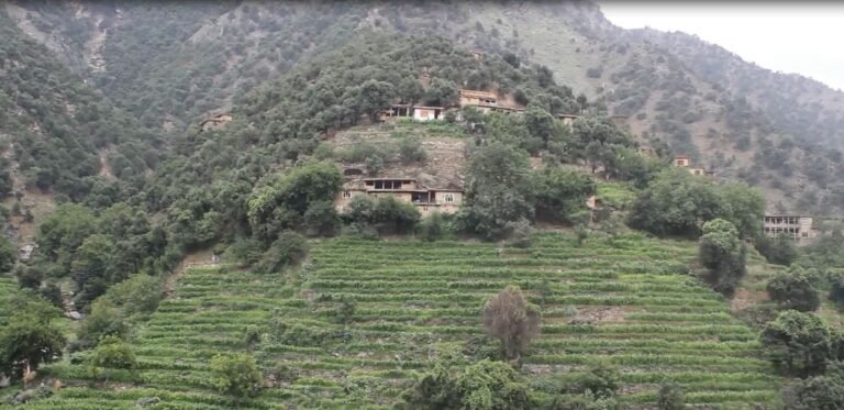 IMAGE_ 1.JPG