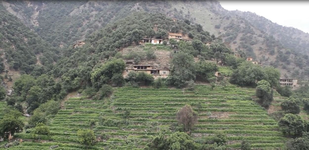 IMAGE_ 1.JPG
