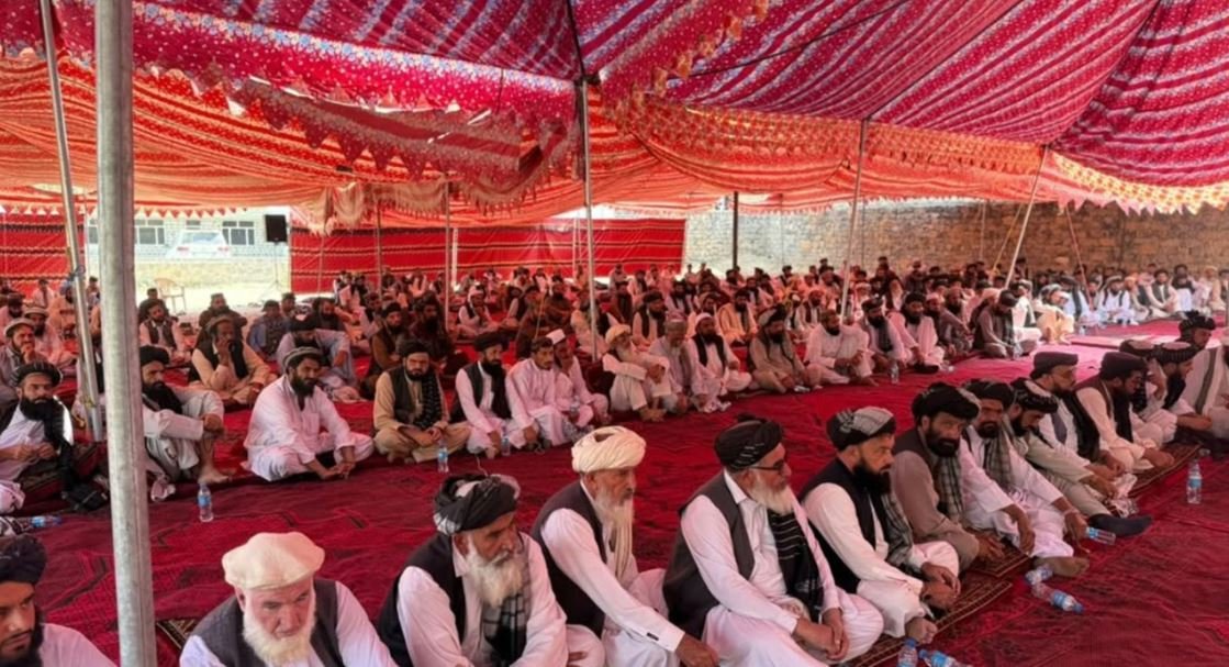 vsdfsg